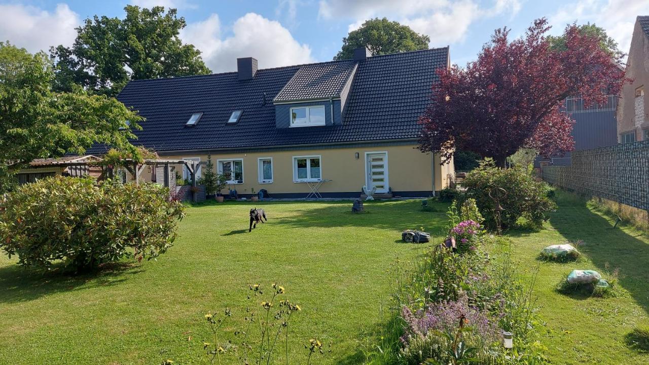 Otto Naehe Stralsund Abtshagen